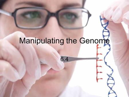 Manipulating the Genome 6.4. Recombinant DNA genetic information from different organisms can be combined, forming recombinant DNA.