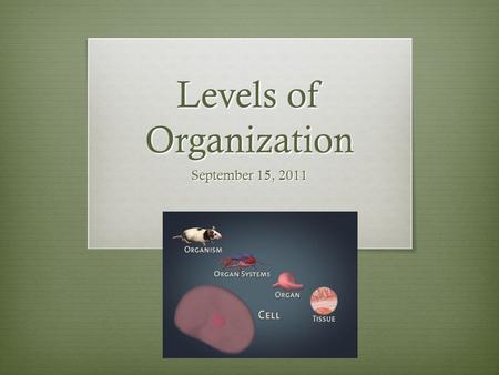 Levels of Organization September 15, 2011. Two types of organisms  Unicellular (single-celled) organisms : the single cell performs all life functions.
