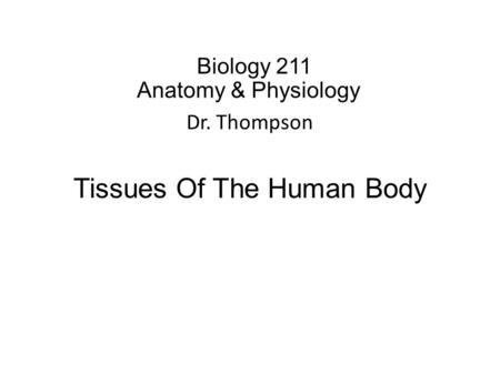 Biology 211 Anatomy & Physiology I Dr. Thompson Tissues Of The Human Body.