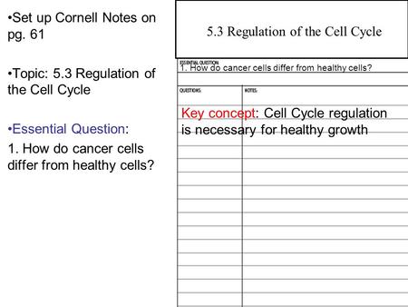 5.3 Regulation of the Cell Cycle