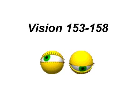 Vision 153-158. Structure of the Eye We only use light energy to see.