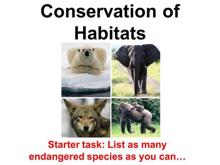 Conservation of Habitats Starter task: List as many endangered species as you can…