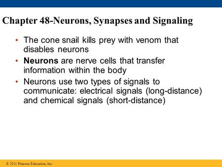 Chapter 48-Neurons, Synapses and Signaling