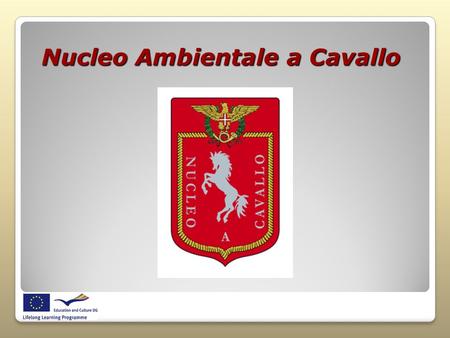 Nucleo Ambientale a Cavallo. Where we are Nucleo Ambientale a Cavallo is a Non Profit Association (NFP-ASC) sited in a city of Abruzzo called Giulianova.