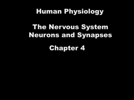 Human Physiology The Nervous System Neurons and Synapses Chapter 4.