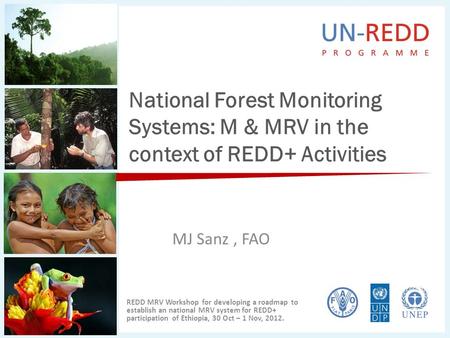 National Forest Monitoring Systems: M & MRV in the context of REDD+ Activities MJ Sanz, FAO REDD MRV Workshop for developing a roadmap to establish an.