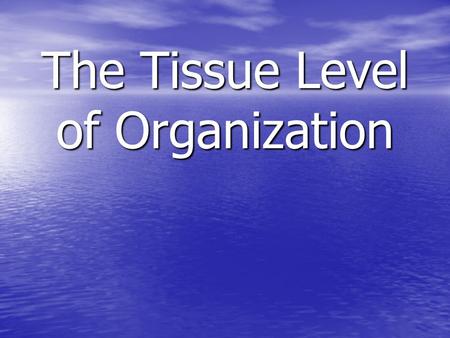 The Tissue Level of Organization. Tissue –Definition – an aggregation of cells in which each cooperates with all others in the performance of a given.