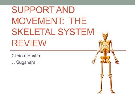 SUPPORT AND MOVEMENT: THE SKELETAL SYSTEM REVIEW Clinical Health J. Sugahara.