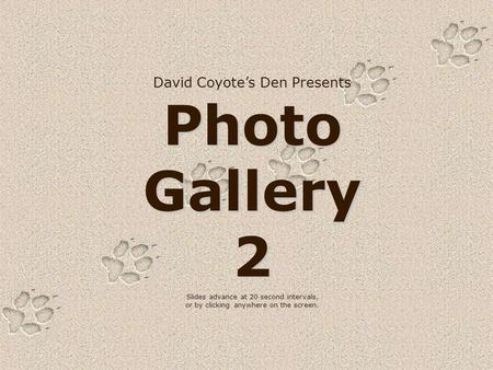 David Coyote’s Den Presents Photo Gallery 2 Slides advance at 20 second intervals, or by clicking anywhere on the screen.