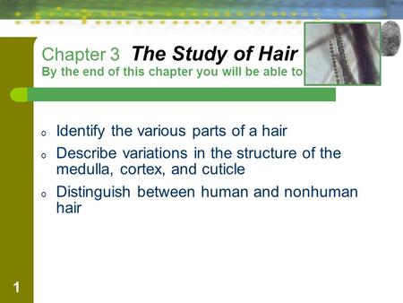 1 Chapter 3 The Study of Hair By the end of this chapter you will be able to: o Identify the various parts of a hair o Describe variations in the structure.