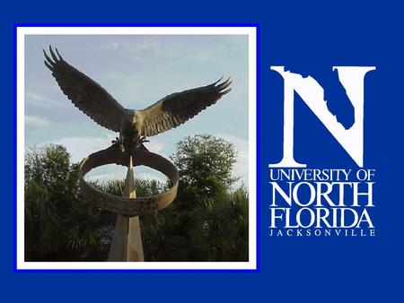 UNF E&G and Phased Retired Faculty: Fall Terms.