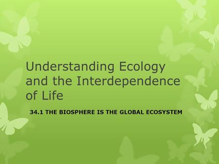 Understanding Ecology and the Interdependence of Life