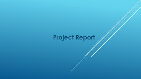 Project Report. Suggested TOC Executive Summary Project Background and Assumptions Vision and Mission Statements Objectives SWOT Analysis Recommended.