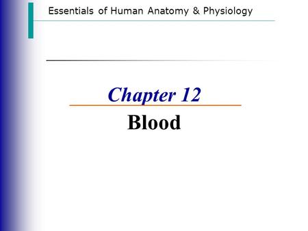 Essentials of Human Anatomy & Physiology Chapter 12 Blood.