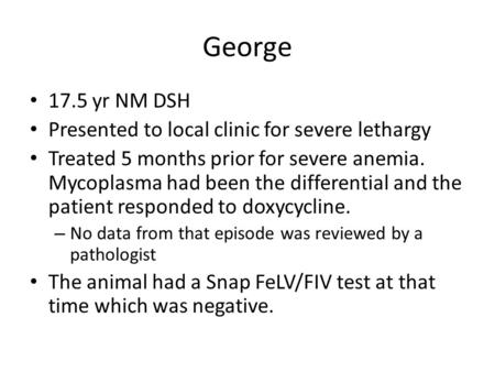 George 17.5 yr NM DSH Presented to local clinic for severe lethargy Treated 5 months prior for severe anemia. Mycoplasma had been the differential and.