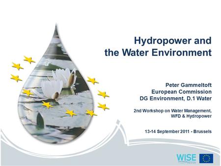 Hydropower and the Water Environment Peter Gammeltoft European Commission DG Environment, D.1 Water 2nd Workshop on Water Management, WFD & Hydropower.