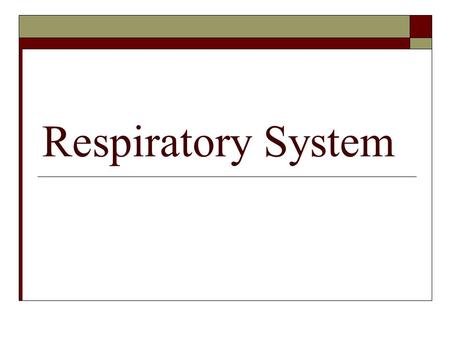 Respiratory System. Discover Activity Page 112 Respiratory System Gases  What do you already know about the Function of Respiratory System?  What gases.