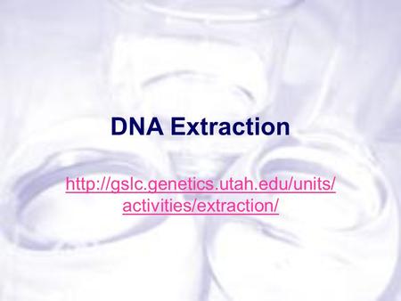 DNA Extraction  activities/extraction/