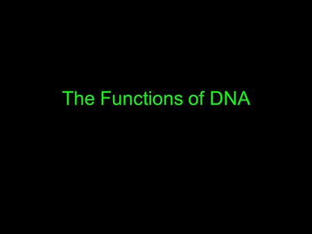 The Functions of DNA. 1. DNA has to replicate itself How does it make an exact copy?