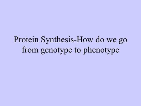 Protein Synthesis-How do we go from genotype to phenotype.