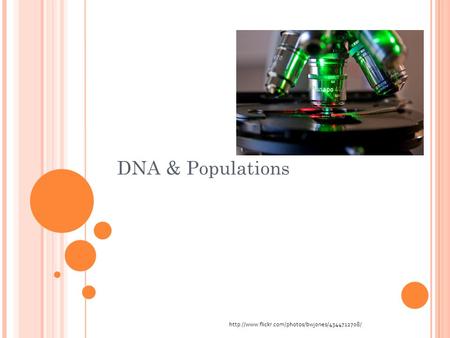 DNA & Populations