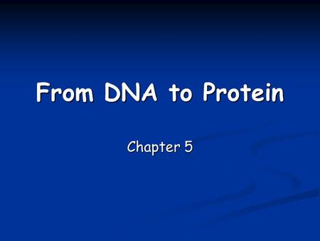 From DNA to Protein Chapter 5. Ricin and your Ribosomes.