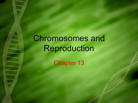 Chromosomes and Reproduction Chapter 13. What you need to know! The differences between asexual and sexual reproduction The role of meiosis and fertilization.