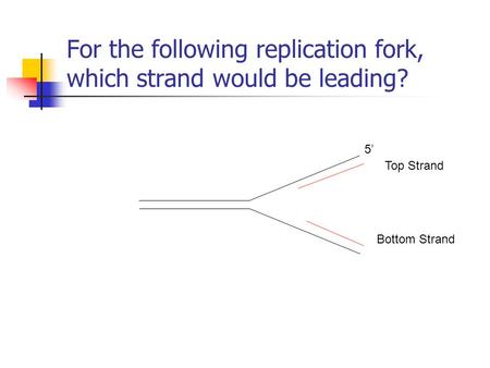 For the following replication fork, which strand would be leading? 5’ Top Strand Bottom Strand.