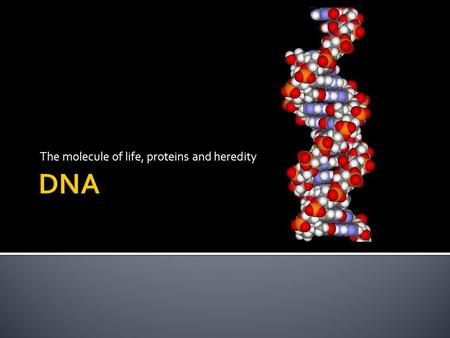 The molecule of life, proteins and heredity.  DNA is a complex macromolecule that contains the genetic information that act as blueprints for making.