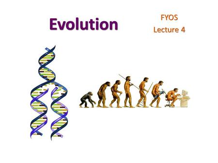 Evolution FYOS Lecture 4. C and H 2 O for alien life!