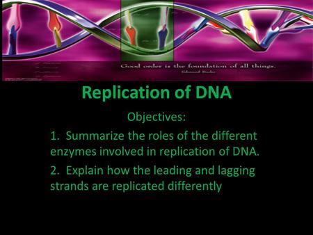 Replication of DNA Objectives: 1. Summarize the roles of the different enzymes involved in replication of DNA. 2. Explain how the leading and lagging strands.