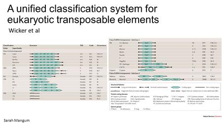 A unified classification system for eukaryotic transposable elements