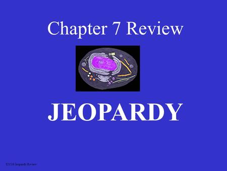 Chapter 7 Review JEOPARDY S2C06 Jeopardy Review.