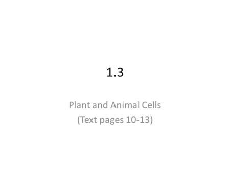 Plant and Animal Cells (Text pages 10-13)