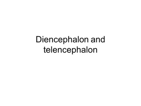 Diencephalon and telencephalon. Surface structure medial surface of the diencephalon –interthalamic adhesion or massa intermedia connects two thalami.