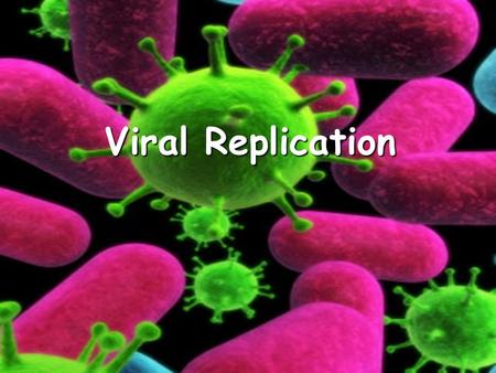 Viral Replication. In order to reproduce a virus must invade or infect a living host cell. To infect a cell, the virus must first attach to it. This attachment.