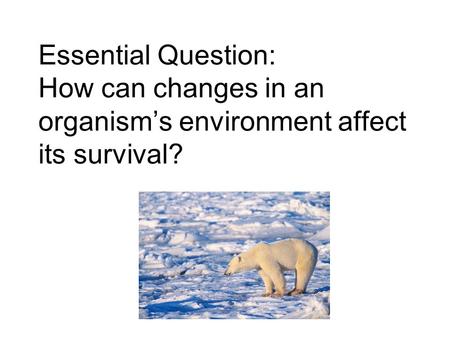 Essential Question: How can changes in an organism’s environment affect its survival?