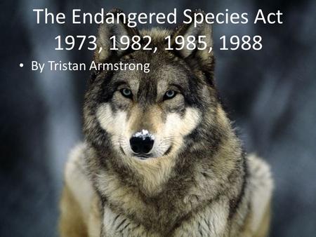 The Endangered Species Act 1973, 1982, 1985, 1988 By Tristan Armstrong.