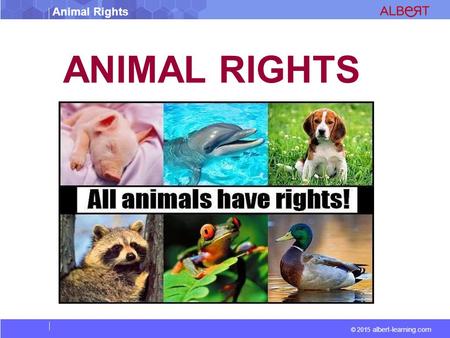 © 2015 albert-learning.com Animal Rights ANIMAL RIGHTS.