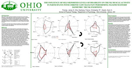 THE INFLUENCE OF SELF-REPORTED LEVELS OF DISABILITY ON TRUNK MUSCLE ACTIVITY IN PARTICIPANTS WITH CHRONIC LOW BACK PAIN PERFORMING MAXIMUM EFFORT ISOMETRIC.