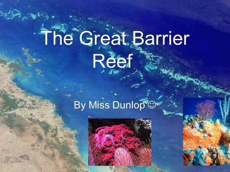 The Great Barrier Reef By Miss Dunlop. Great Barrier Reef Overview Located in the Coral Sea on the coast of Queensland (NE Australia) Largest Reef System.