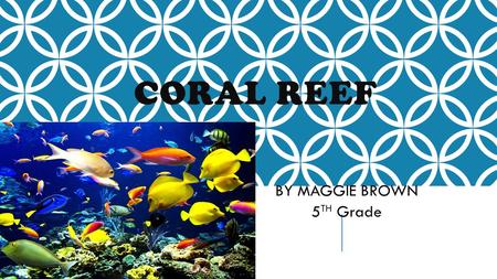 CORAL REEF BY MAGGIE BROWN 5 TH Grade WHAT ARE CORAL REEFS???? Coral reefs are communities of living organisms. About 25% of marine life lives in the.