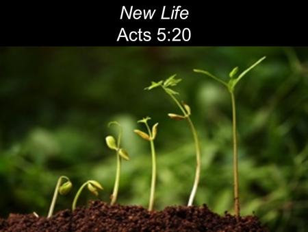New Life Acts 5:20. The next day John saw Jesus coming toward him and said, “Behold, the Lamb of God, who takes away the sin of the world!” John 1:29.