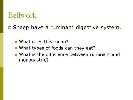 Bellwork Sheep have a ruminant digestive system. What does this mean?