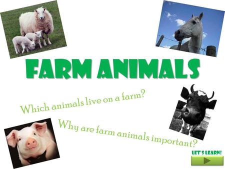 Farm Animals Which animals live on a farm? Why are farm animals important? Let’s learn!