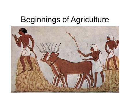 Beginnings of Agriculture