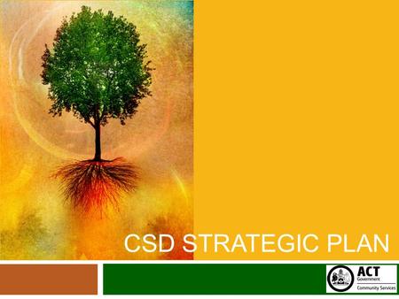 CSD STRATEGIC PLAN. Our Vision: Participation The central driver of our work Multi-dimensional: engage, learn, work, have a voice Supported by research.