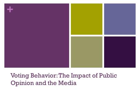 + Voting Behavior: The Impact of Public Opinion and the Media.