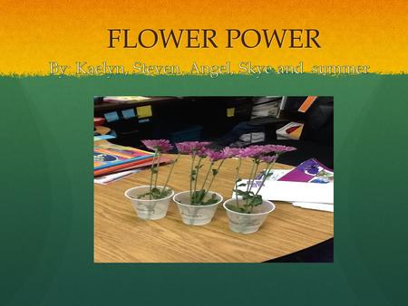 FLOWER POWER. QUESTION What is the best way to keep a flower alive the longest?