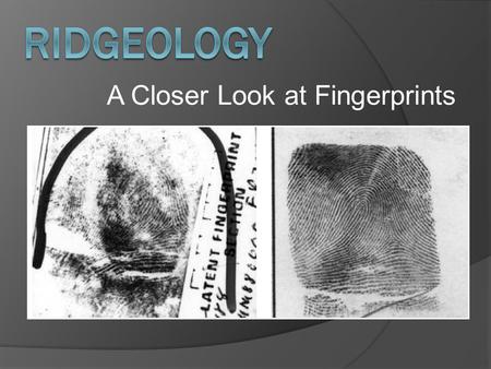 A Closer Look at Fingerprints